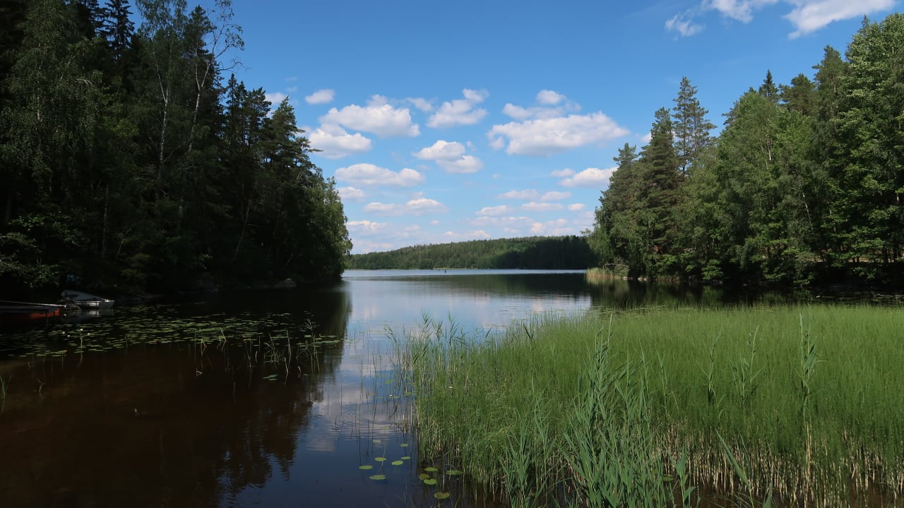 Vattenskyddsområde