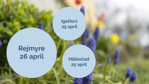Vi ses i Igelfors, Hällestad och Rejmyre!