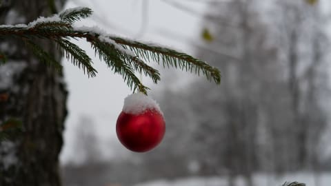Öppettider och körschema inför jul