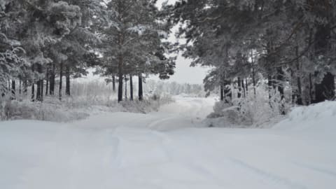 Vinterväglaget medför förseningar i sophämtningen