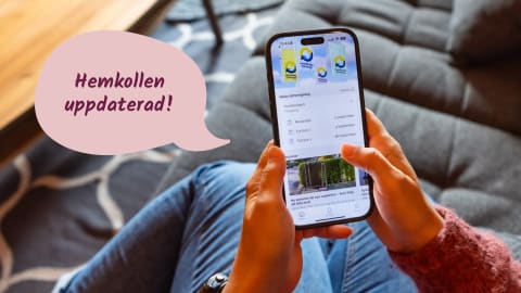 Hemkollen uppdaterad – se när de nya sopkärlen ska tömmas 